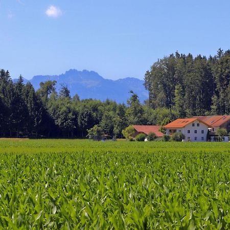 Beim Lenglacher Chieming Extérieur photo