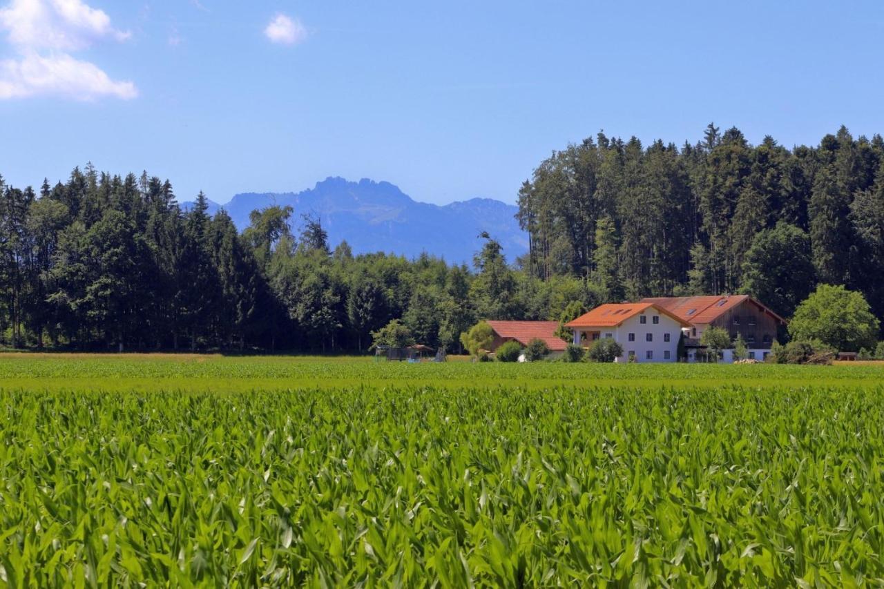 Beim Lenglacher Chieming Extérieur photo